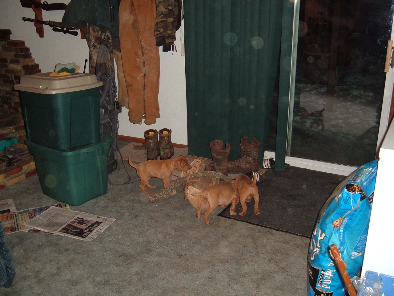 dscf0292.jpg